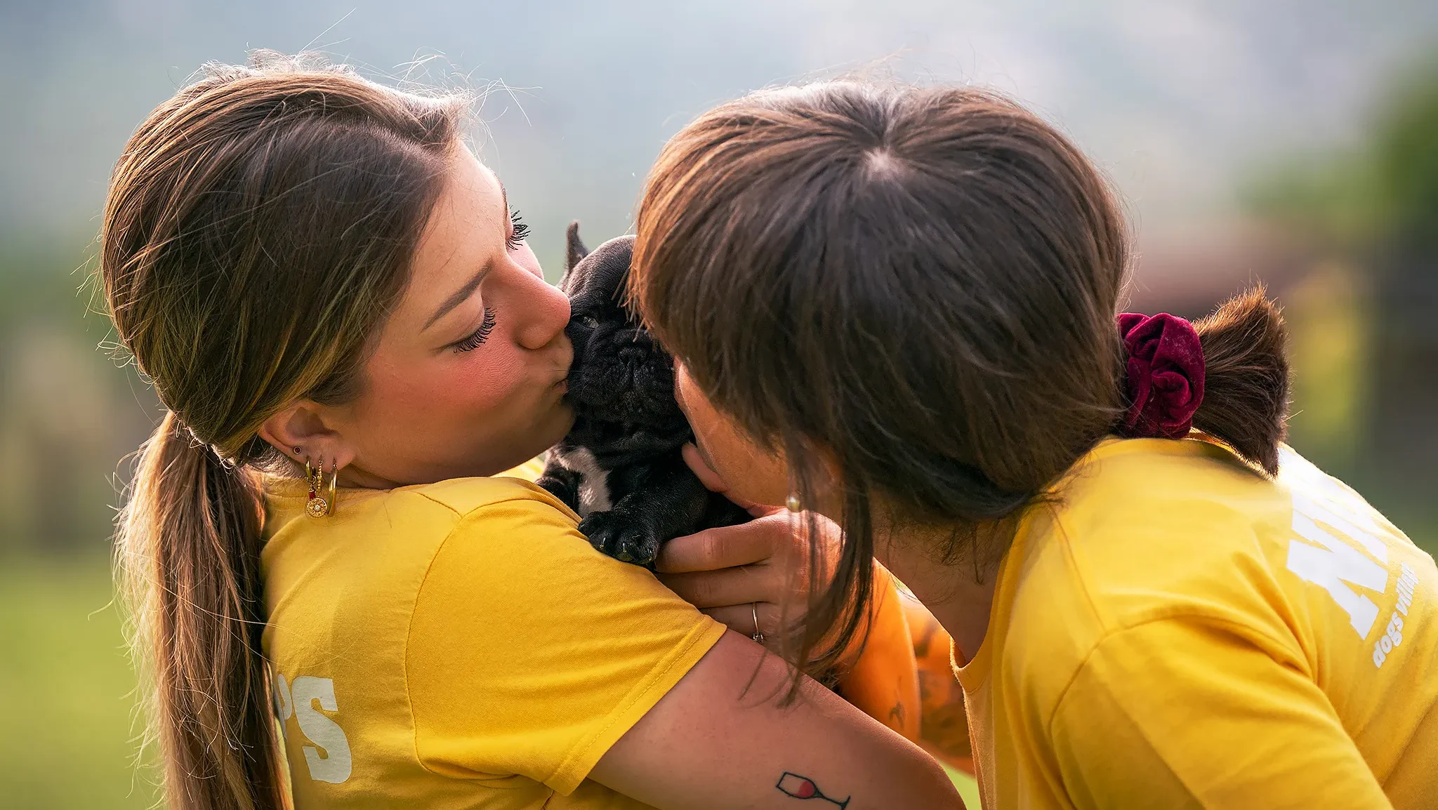 Allevamento Bouledogue francese Toscana