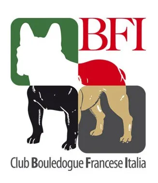 Allevamento Bouledogue francese Toscana