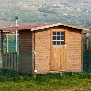 Allevamento Bouledogue francese Toscana